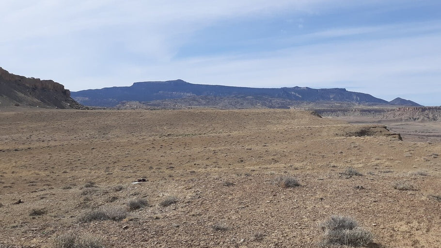 COVID-19 Response: Tribal Concerns