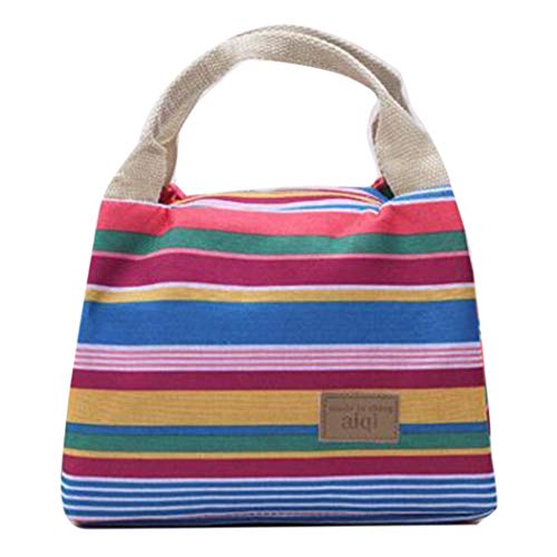 22 Best Handbag Lunch Bags in 2020